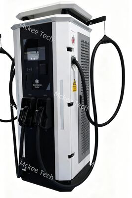 좋은 가격 80kW 스윙 팔 구조 효율적인 DC 빠른 충전을 위해 듀얼 총 적응 EV 충전 스파일 온라인으로